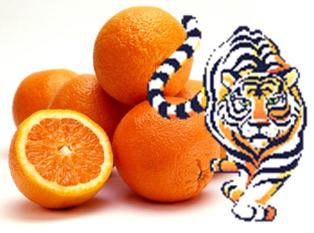 20120120220836-tigres-y-naranjas.jpg