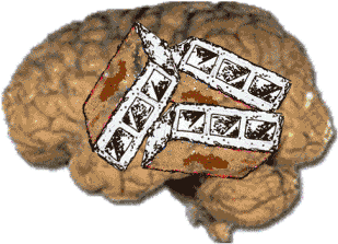 20121212181824-cerebro-bloqueado-5.gif