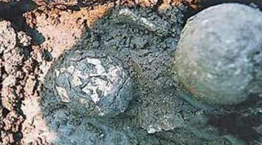 Descubren un huevo de 2.000 años de antigüedad