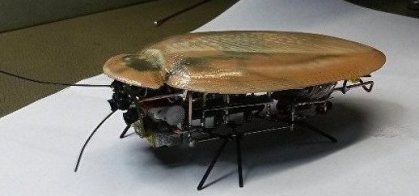 Una cucaracha robot que corre a 30 cm por segundo